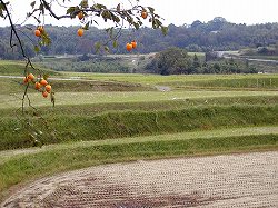20041104 ohgi s028 (7).jpg